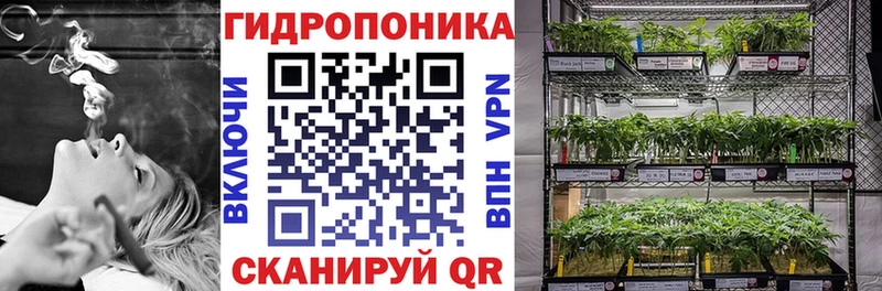 Все наркотики Николаевск-на-Амуре Метадон  Конопля  A PVP 