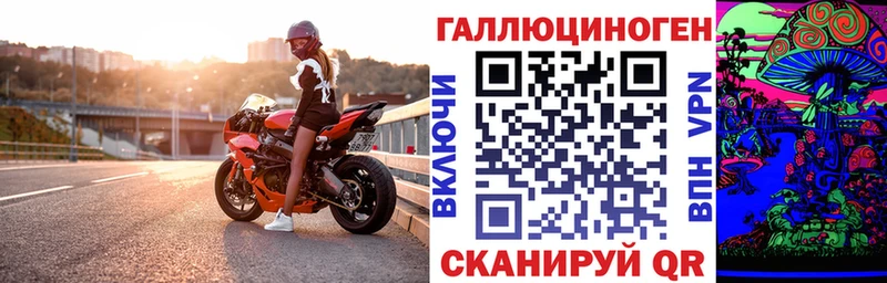 купить  цена  Николаевск-на-Амуре  Галлюциногенные грибы Psilocybe 
