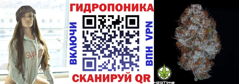 Канабис ГИДРОПОН  наркотики  Николаевск-на-Амуре 